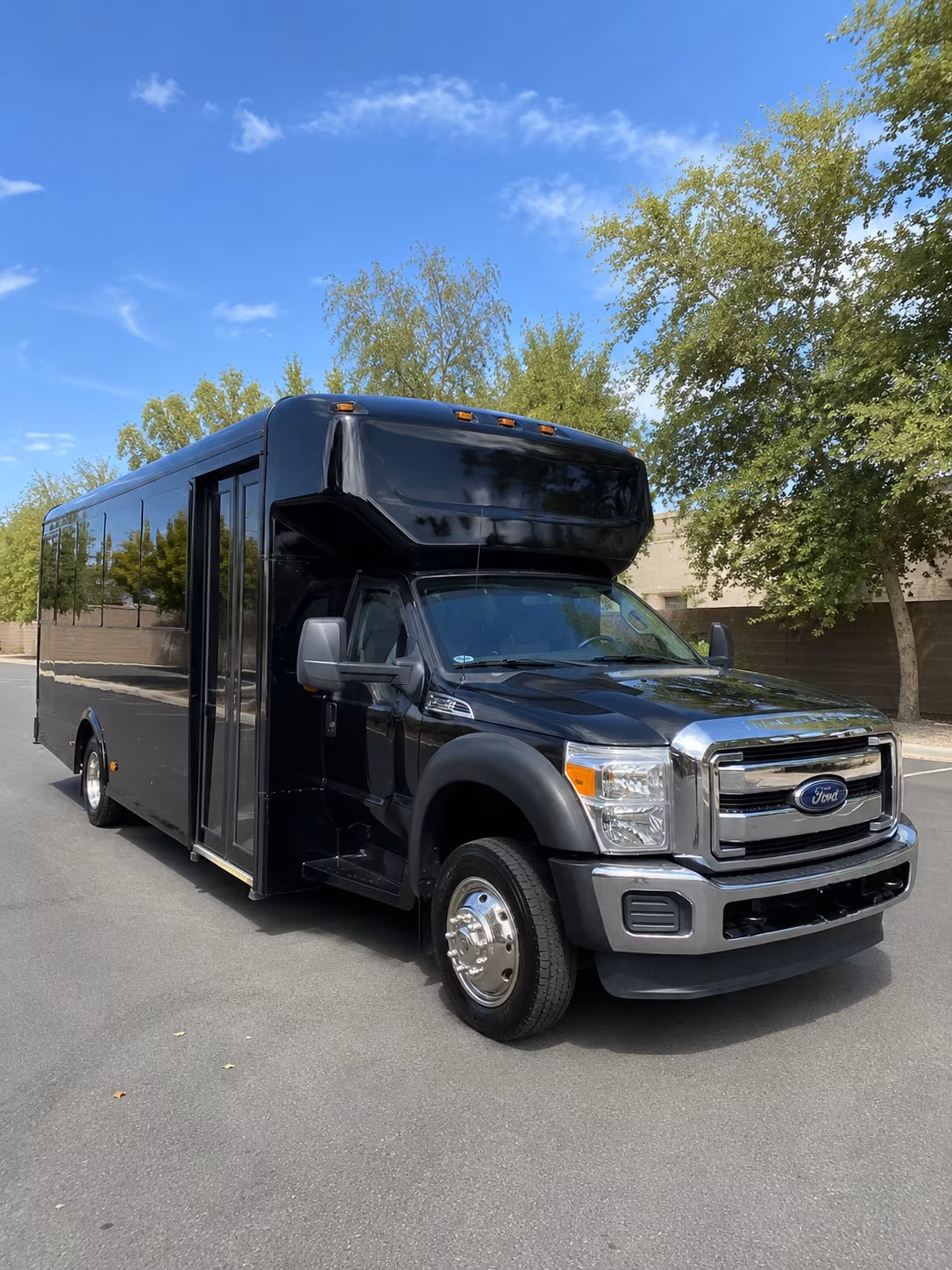 20 Passenger Party Bus