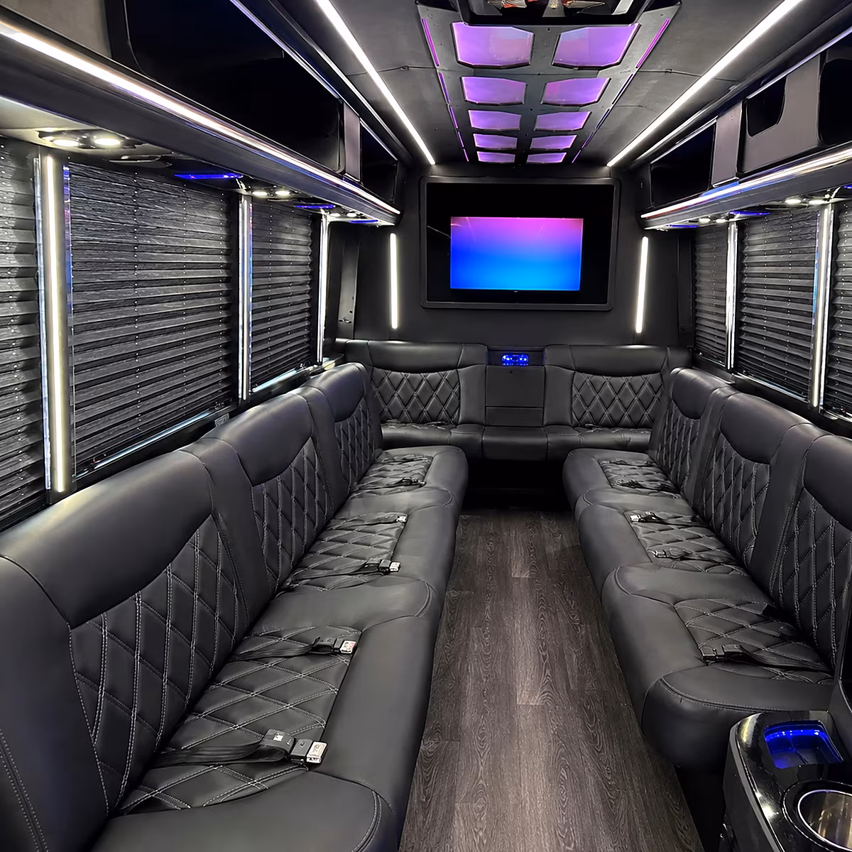 Norfolk Bachelor & Bachelorette Transportation party bus interior